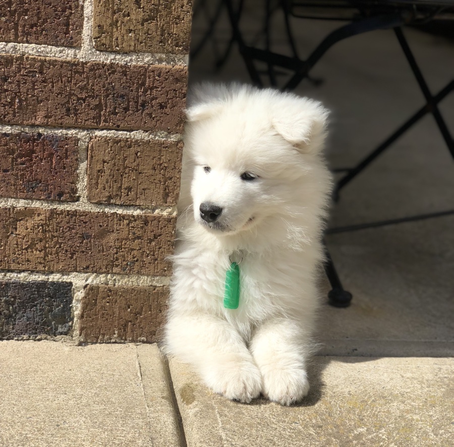 Jez next to bricks