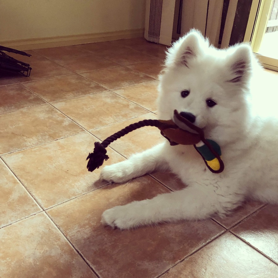 Jez with duck toy