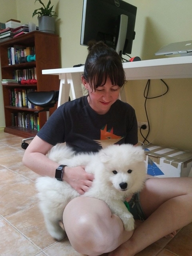 Samoyed puppy