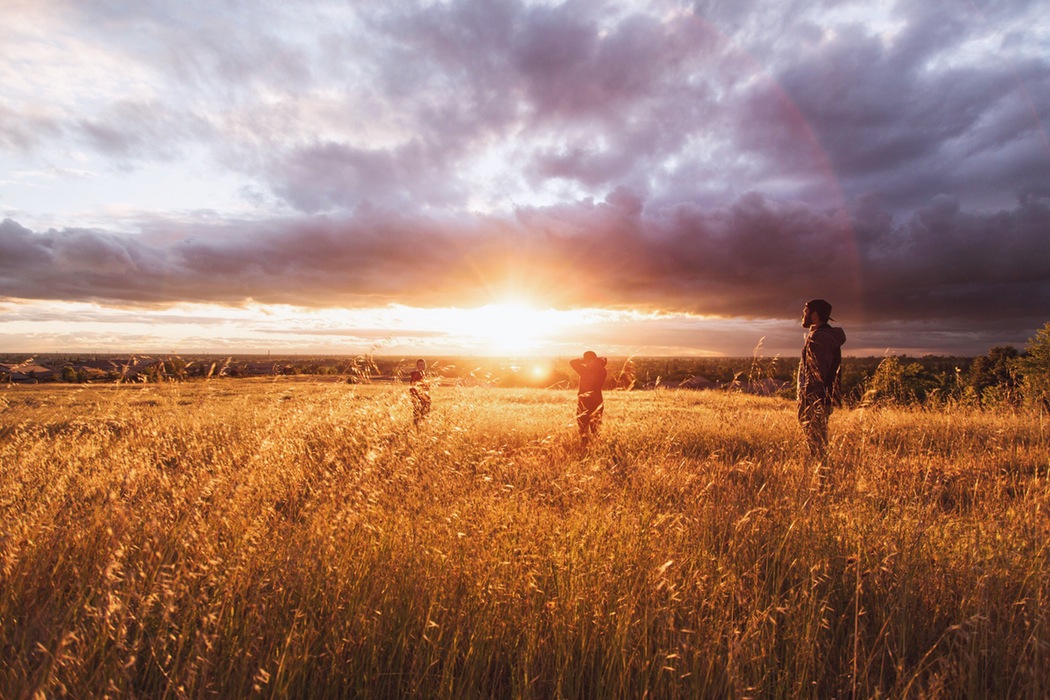 sun in field